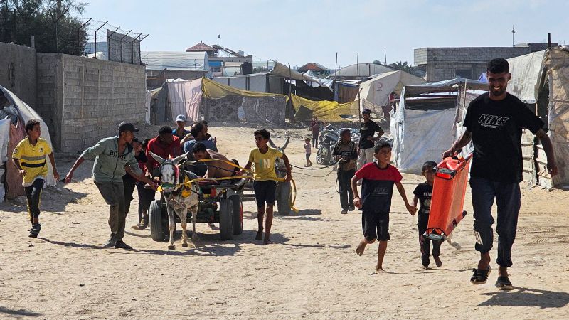 Tragic Incident in Gaza Leaves 73 Dead and 150 Injured