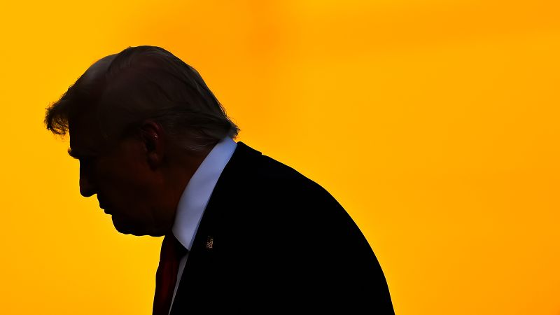 Diverse Voter Sentiments in American Politics