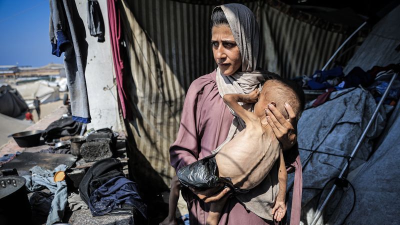 Humanitarian Crisis in Gaza: Urgent Call for Aid and Action