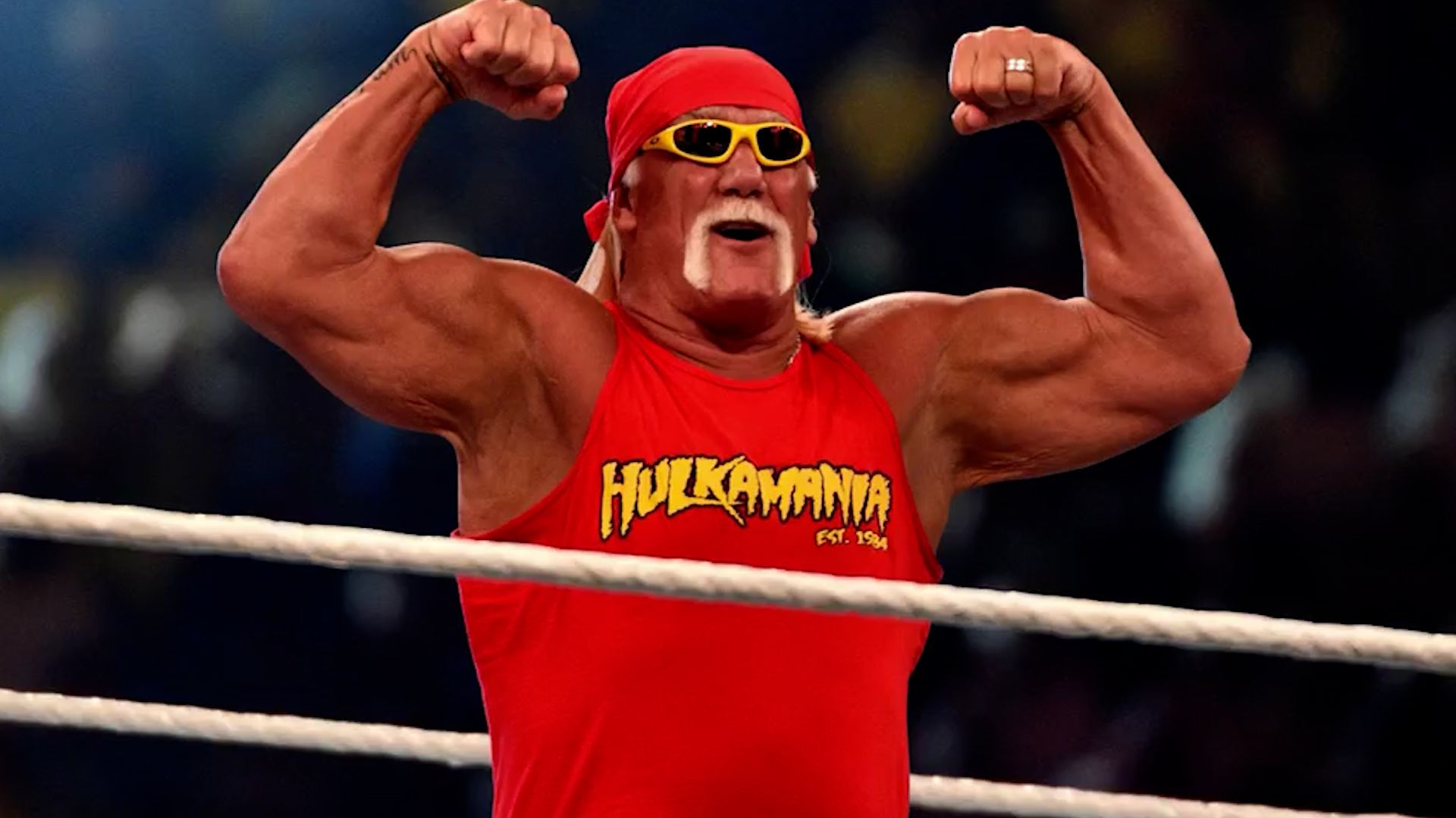The Enduring Legacy of Terry Bollea: From Hulk Hogan to Wrestling Icon