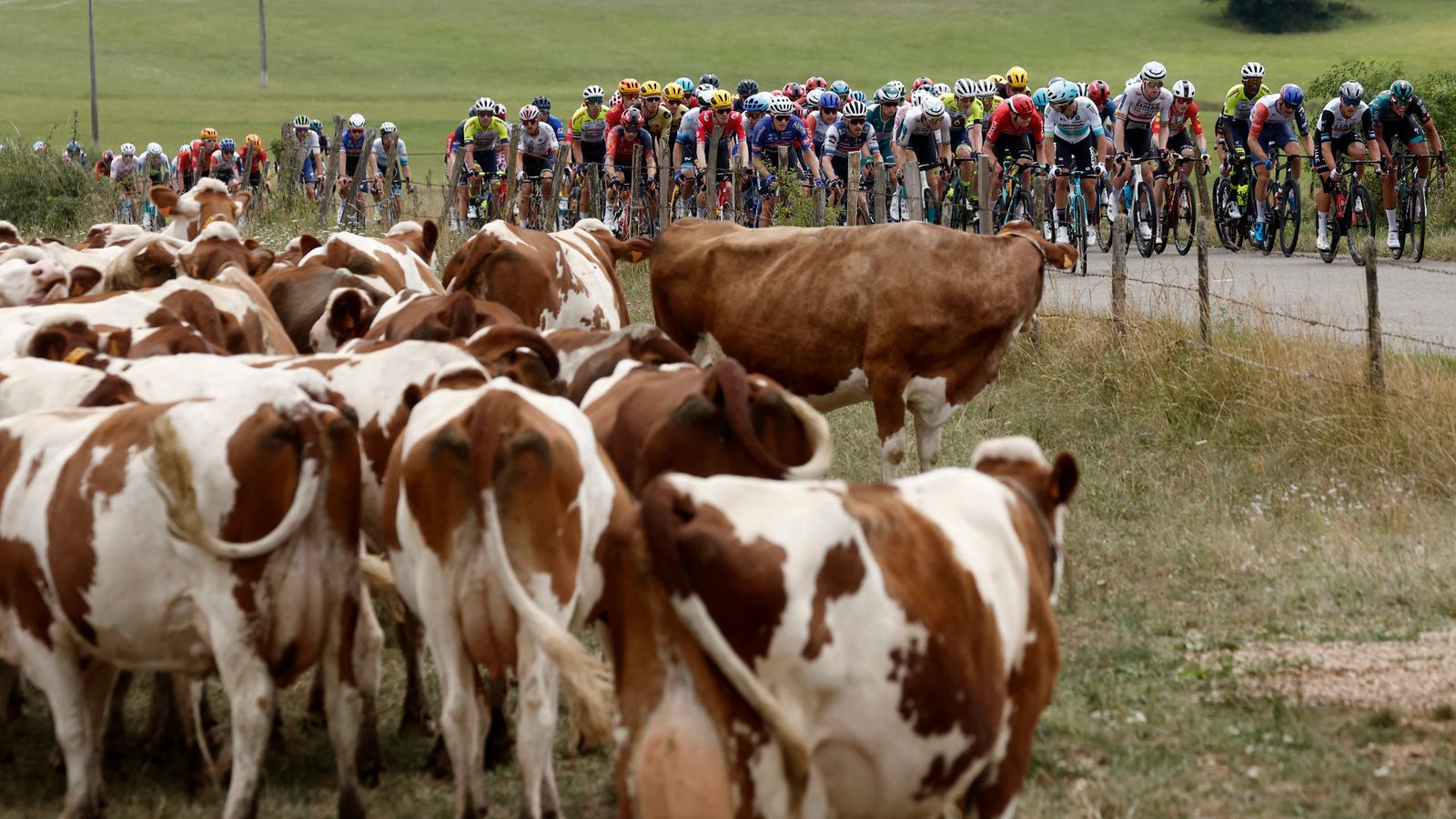 Tour de France Stage 19 Shortened Due to Health Concerns