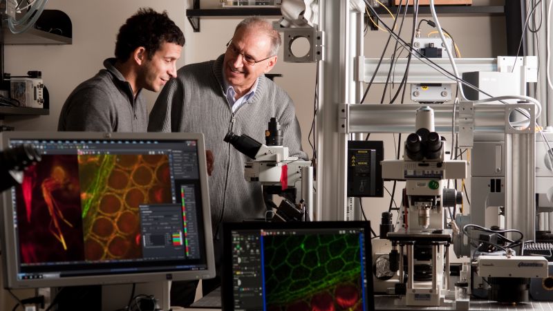 Researcher with Hearing Loss Faces Grant Cancellation