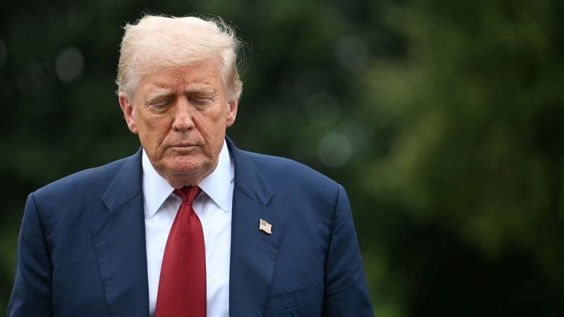 The Impact of President Trump's Tariffs on the GOP