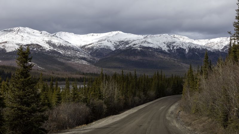 Fatal Collision Involving Moose Near Denali National Park Results in Driver's Death and Passenger's Injuries