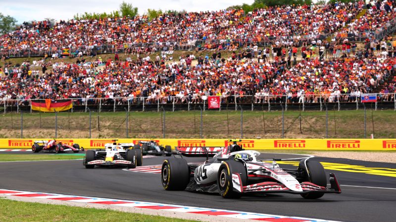 Lando Norris Emerges Victorious in Hungarian Grand Prix