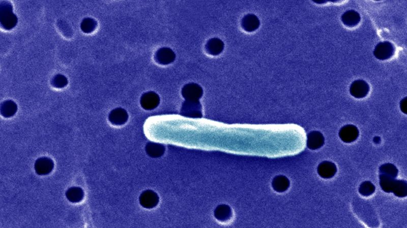 Florida Raw Milk Outbreak Raises Health Concerns
