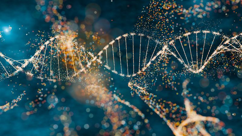 New Study Reveals Ancient Viral DNA's Impact on Human Development