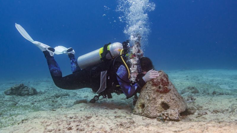 Honoring a Loved One Under the Ocean Waves