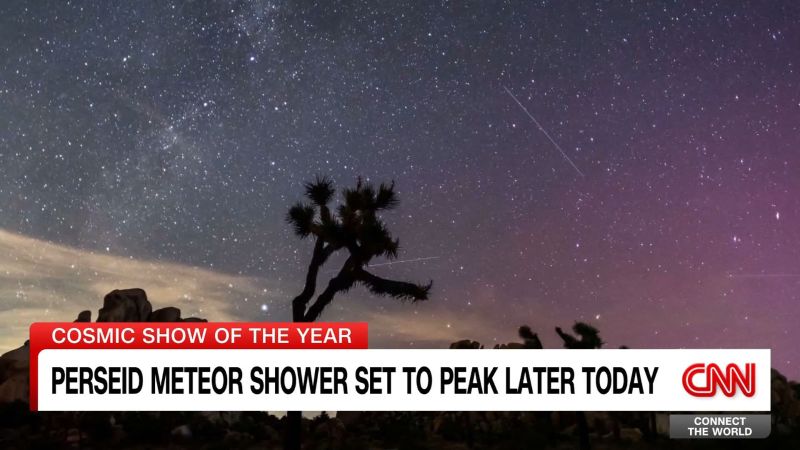 Perseid Meteor Shower 2021: How to Watch the Celestial Spectacle