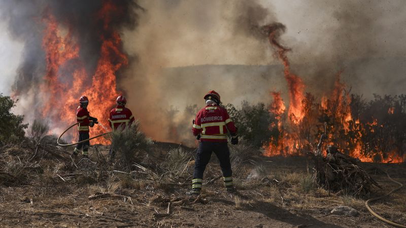 Europe Faces Unprecedented Wildfire Crisis Amid Record Temperatures