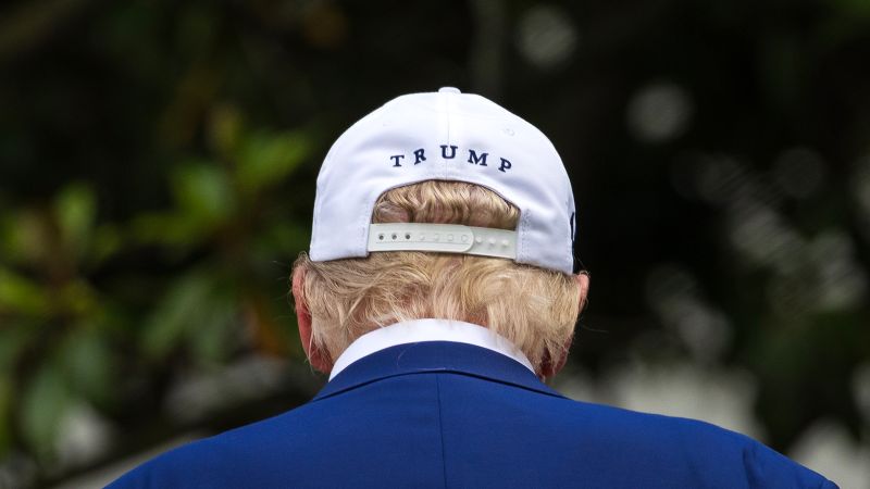 The Concentration of Power in the Trump Administration