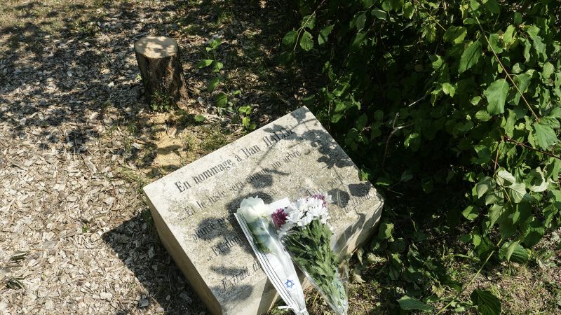French President Macron Vows Justice After Vandalism of Memorial Olive Tree