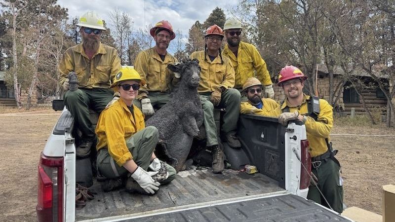 Brighty the Burro Statue Salvaged from Fire-Ravaged Grand Canyon Lodge