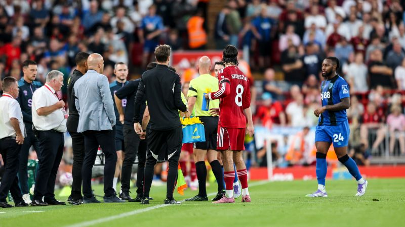 Man Arrested After Premier League Match Suspension Due to Racism