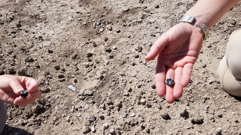 Ancient Human Ancestors Coexisted Over 2 Million Years Ago