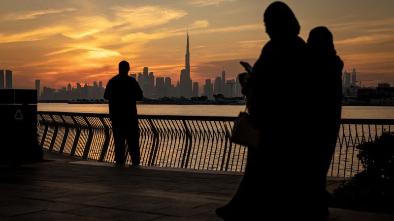 Dubai Authorities Recover $25 Million Pink Diamond After Heist