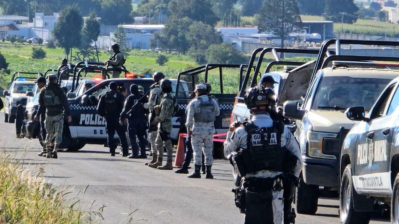 Disturbing Discovery of Six Severed Human Heads in Central Mexico