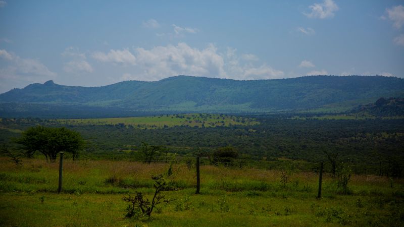 Britain Agrees to Compensate Victims of Forest Fire in Kenya
