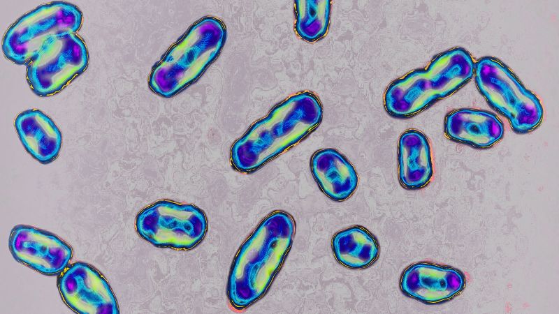 California Resident Tests Positive for Plague in Lake Tahoe Area