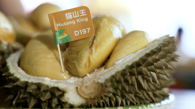 DurianBB: Innovating with the Controversial Durian Fruit