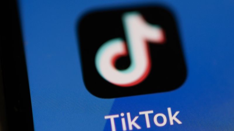 Concerns Raised by TikTok Employees Highlight App's Impact on Users