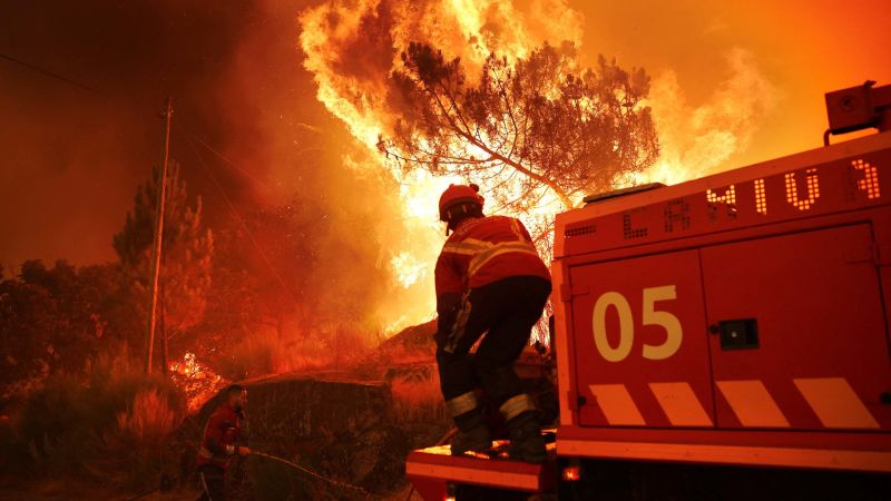 Weekly Global Events in 30 Compelling Photos