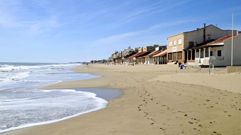Guardamar del Segura Beaches Closed Due to Venomous Sea Slugs