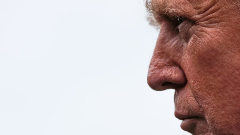 Trump Administration Deliberates on Epstein Case Documents Release
