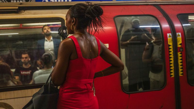 Challenges of Urban Subway Systems in a Changing Climate