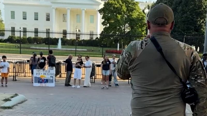 Man Arrested for Burning American Flag Near White House