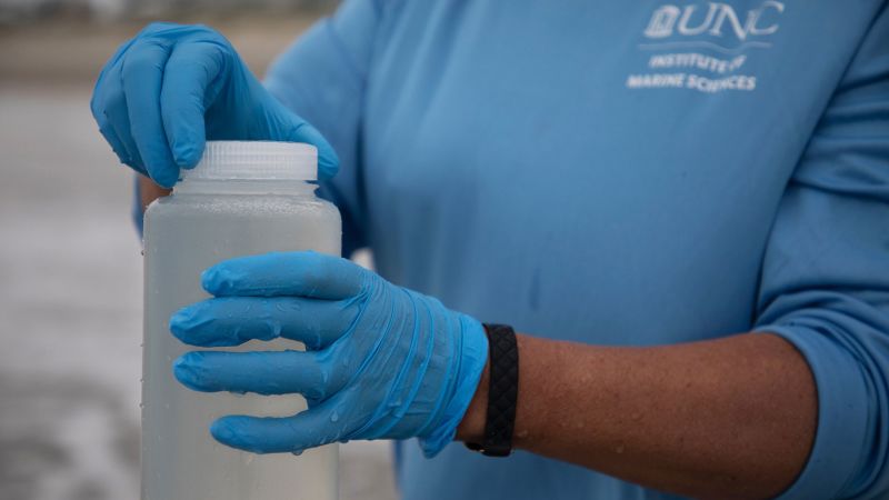 Rising Cases of Flesh-Eating Bacteria Linked to Climate Change