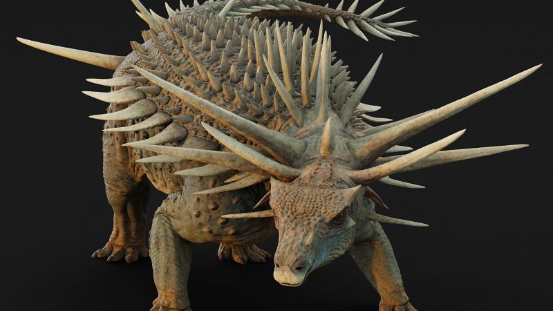 Remarkable Dinosaur Fossil Unveiled in Morocco