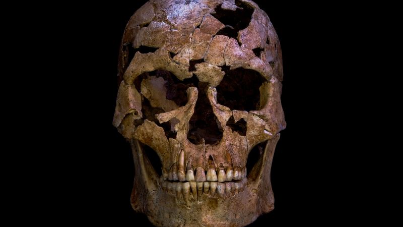 Ice Age Skeleton with Projectile Wound Unearthed in Vietnam