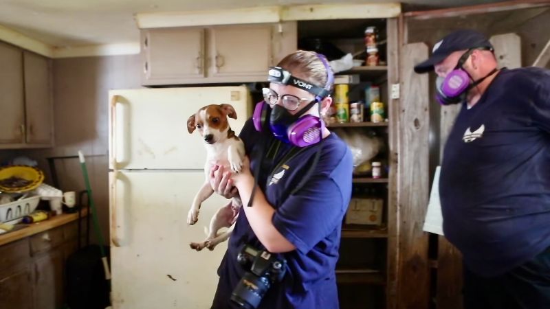 Dedicated Rescue Group Making Strides in Animal Welfare