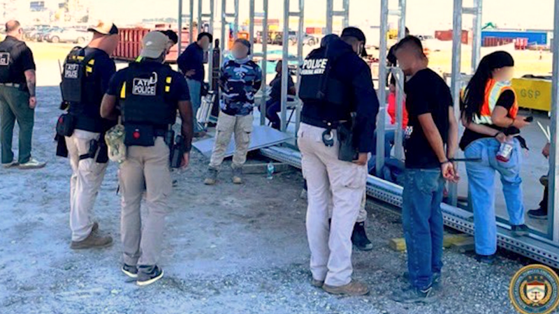 ICE Raid at Hyundai Manufacturing Plant Leads to Hundreds Apprehended
