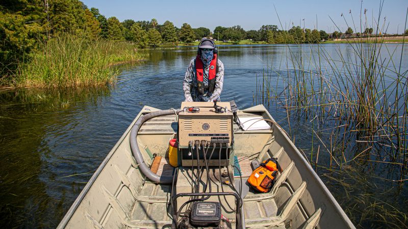Innovative Approach to Combat Invasive Species in Southeastern United States