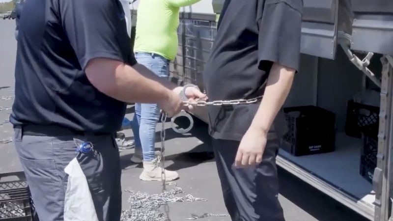 Recent Immigration Enforcement Operation at Hyundai Plant Sparks Debate