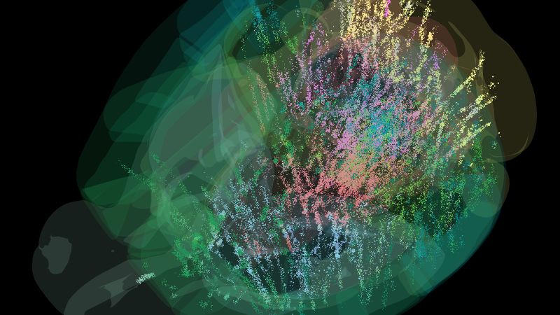 Neuroscientists Publish Groundbreaking Brain Map on Decision-Making Processes