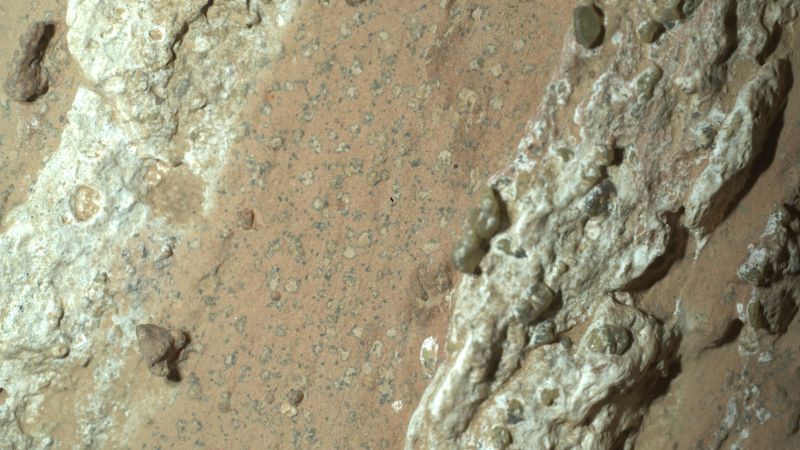 Recent Discovery on Mars Sparks Excitement Among Scientists