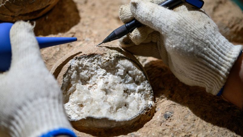 New Discovery Reveals Age of Dinosaur Eggs in China