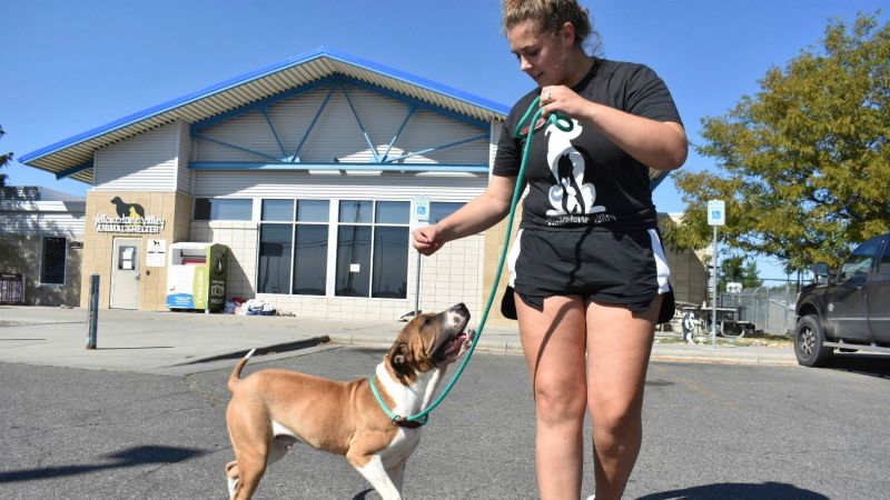 FBI Methamphetamine Incineration Incident at Montana Animal Shelter