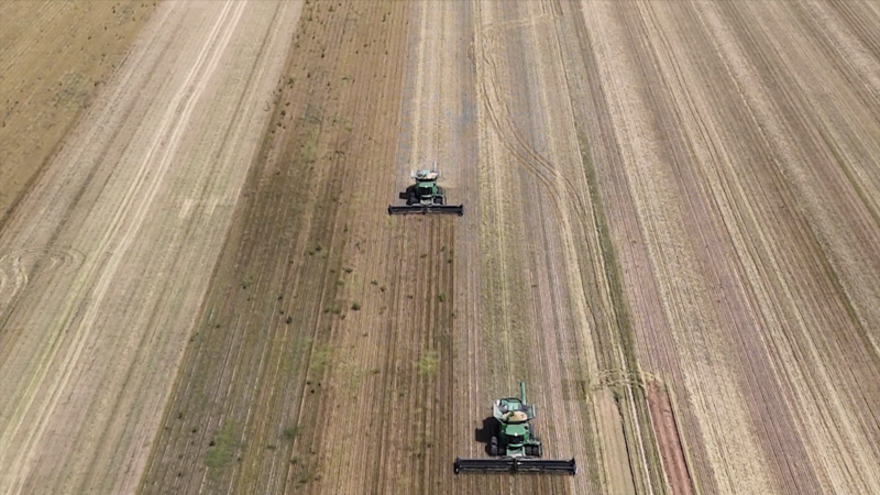 Facing 'Farmageddon': American Farmers Reach Breaking Point