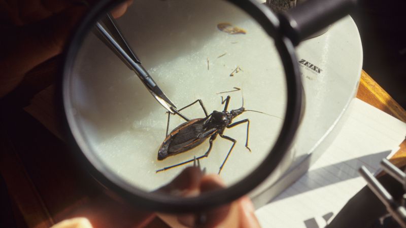 Chagas Disease: The Emerging Health Threat in the United States