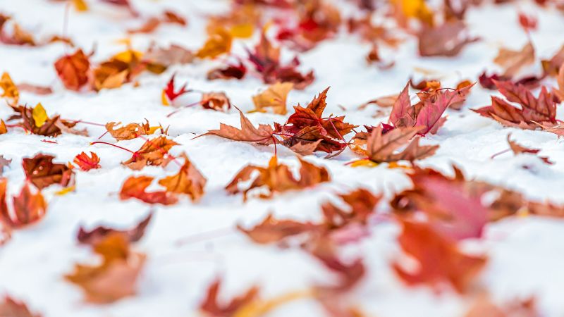 Exploring the Evolution of Winter Signs in the United States