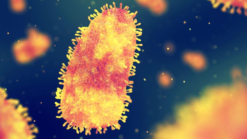 Rabies Deaths Highlight Ongoing Threat in the United States