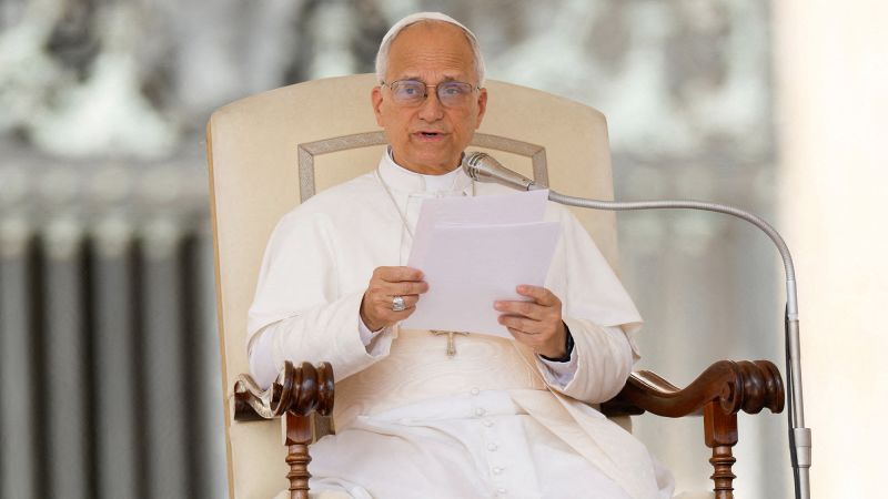 Pope Leo XIV Expresses Concerns in Recent Interview