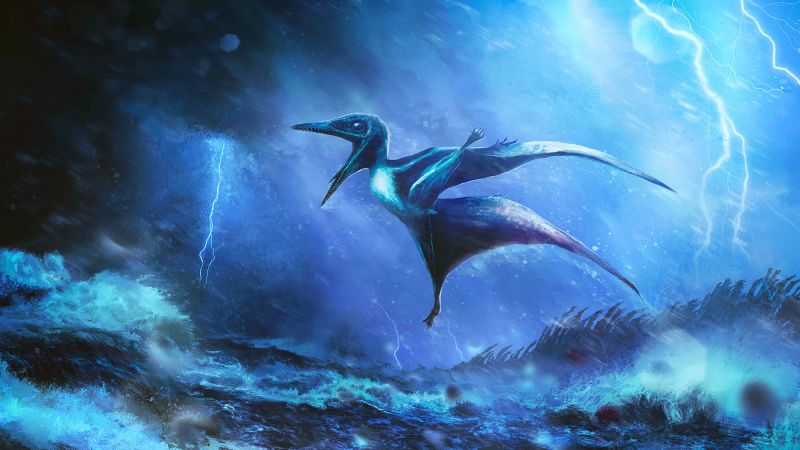 Rare Insights from 150 Million-Year-Old Baby Pterosaur Fossils