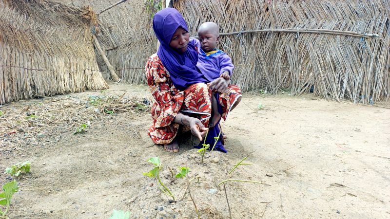 Impact of US-Funded Nutrition Program Cessation on Vulnerable Communities