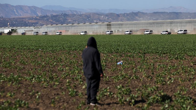 The Role of AI in Immigration Enforcement: Trump Administration's Approach