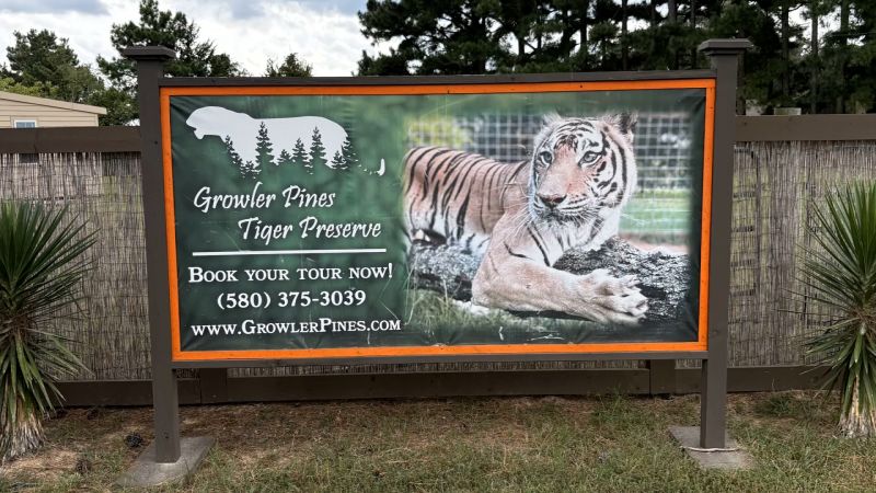 Tragic Tiger Attack at Oklahoma Wildlife Sanctuary